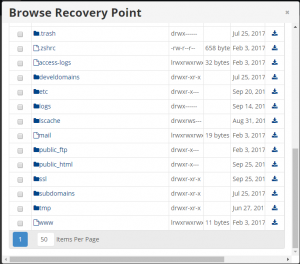 r1soft browse recovery point